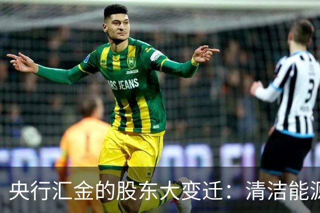 央行汇金的股东大变迁：清洁能源舞台上的离场记