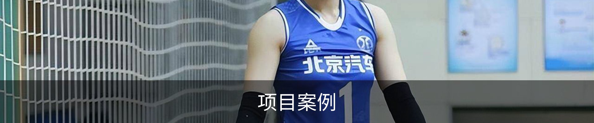 项目案例
